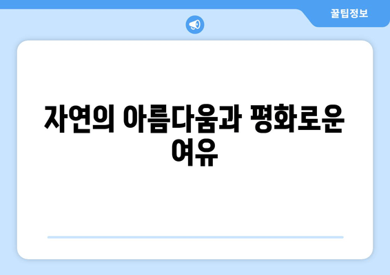 자연의 아름다움과 평화로운 여유