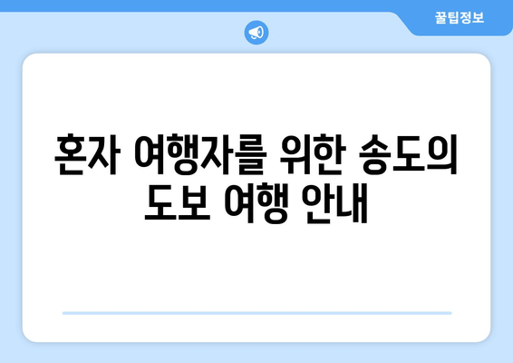 혼자 여행자를 위한 송도의 도보 여행 안내