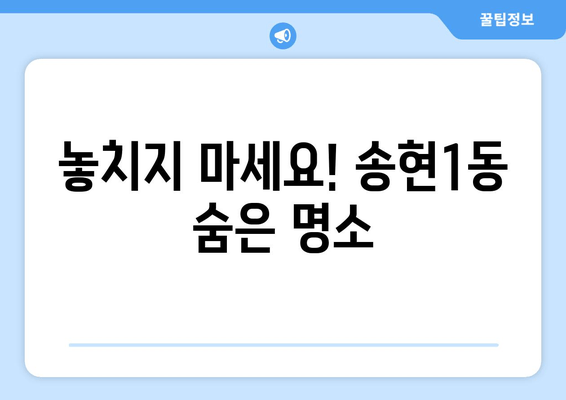 놓치지 마세요! 송현1동 숨은 명소