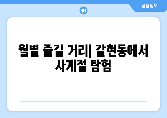 월별 즐길 거리| 갈현동에서 사계절 탐험