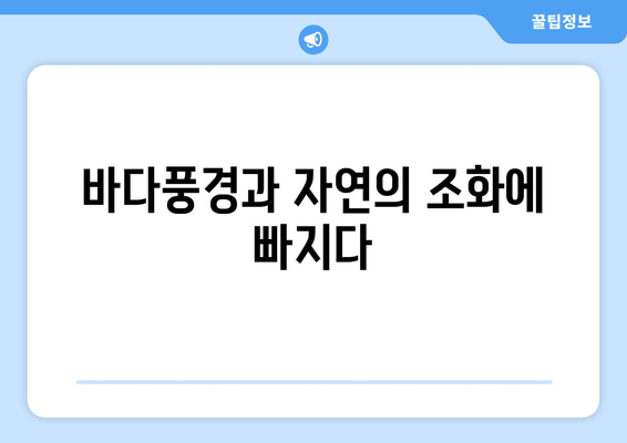 바다풍경과 자연의 조화에 빠지다