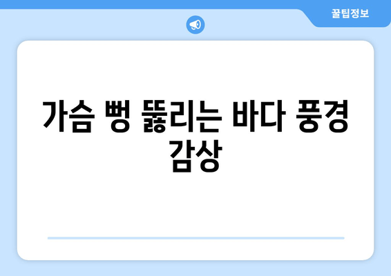 가슴 뻥 뚫리는 바다 풍경 감상