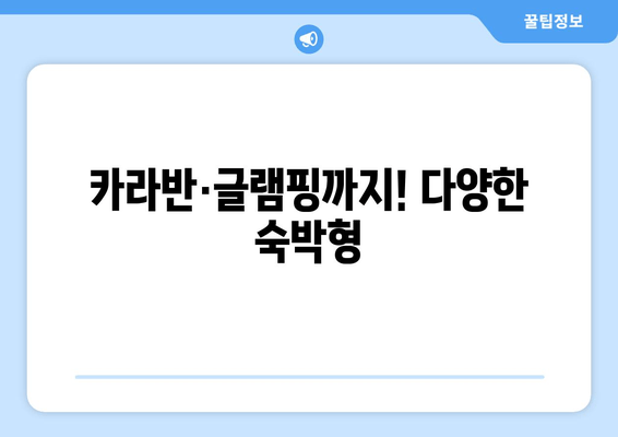 카라반·글램핑까지! 다양한 숙박형