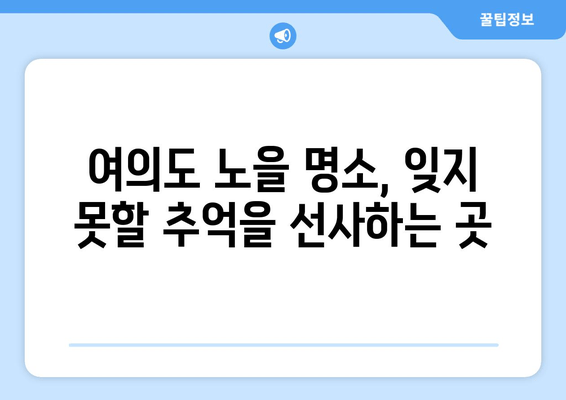 여의도 노을의 황홀경, 숨겨진 아름다움을 찾아 떠나는 여정 | 서울 야경, 풍경 명소, 사진 촬영 명소