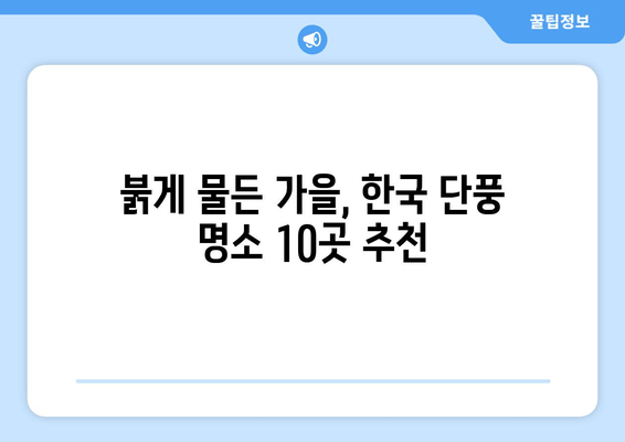 가을 단풍나무의 숨 막힐 듯한 아름다움| 한국의 단풍 명소 10곳 | 단풍 여행, 가을 여행, 국내 여행, 단풍 명소 추천