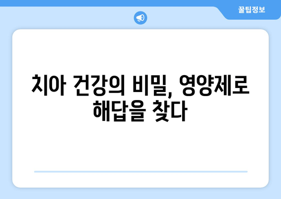 잇몸 뼈 건강을 위한 영양제| 치아 건강에 필수적인 5가지 영양소 | 잇몸 뼈, 치아 건강, 영양제, 건강 정보