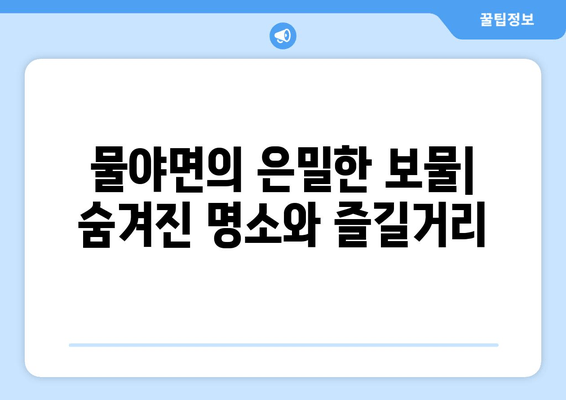 물야면의 은밀한 보물| 숨겨진 명소와 즐길거리