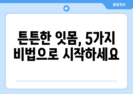 잇몸 뼈 강화 영양제| 건강한 잇몸 유지하는 5가지 비법 | 잇몸 건강, 잇몸 뼈, 영양제, 치주염 예방