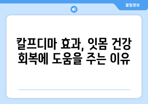 잇몸 건강 회복에 도움되는 칼프디마 성분 잇몸 영양제 추천 | 아프고 나서 챙기는 건강, 잇몸 영양제 추천, 칼프디마 효과