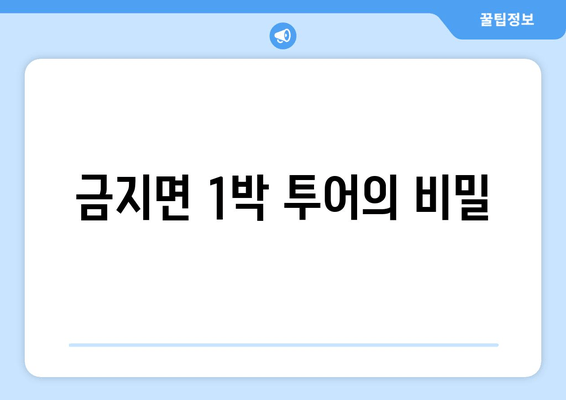 금지면 1박 투어의 비밀