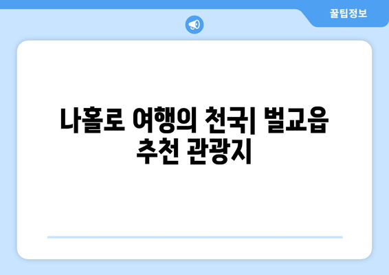 나홀로 여행의 천국| 벌교읍 추천 관광지