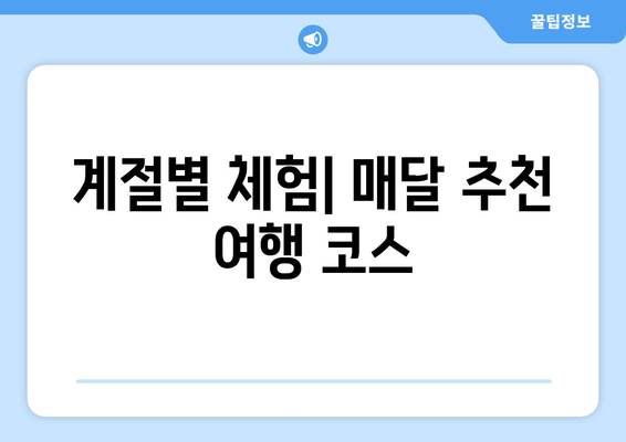 계절별 체험| 매달 추천 여행 코스