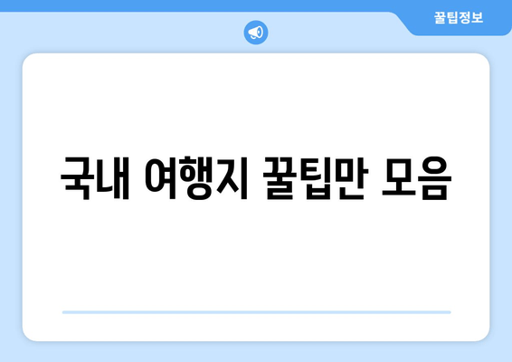 국내 여행지 꿀팁만 모음