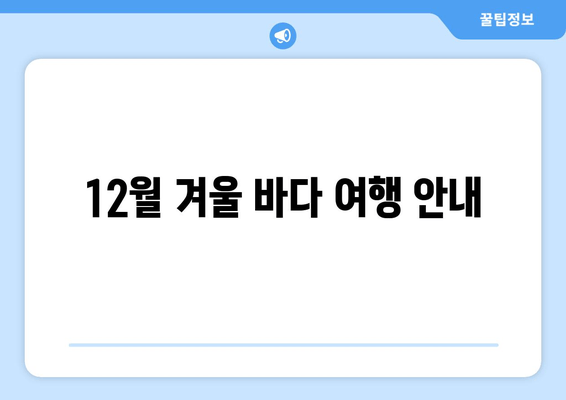 12월 겨울 바다 여행 안내