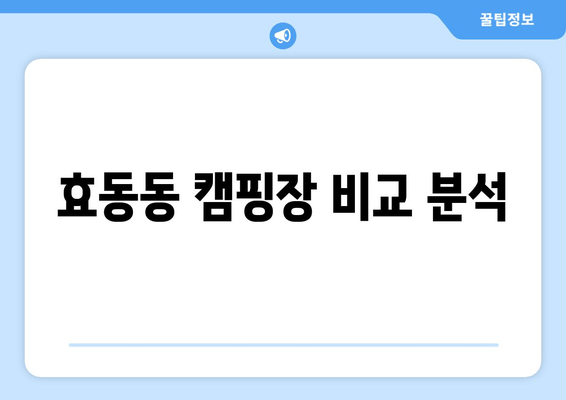 효동동 캠핑장 비교 분석