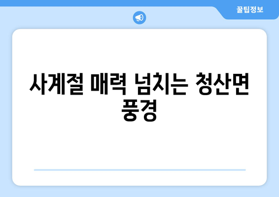 사계절 매력 넘치는 청산면 풍경