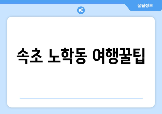 속초 노학동 여행꿀팁