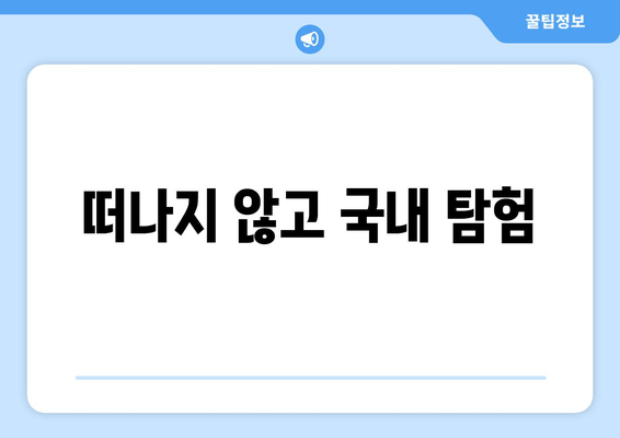 떠나지 않고 국내 탐험