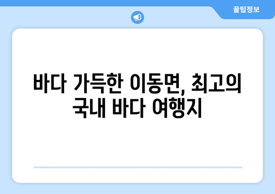 바다 가득한 이동면, 최고의 국내 바다 여행지