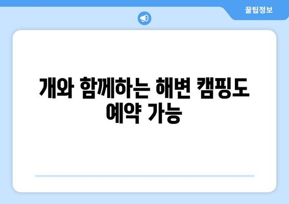 개와 함께하는 해변 캠핑도 예약 가능