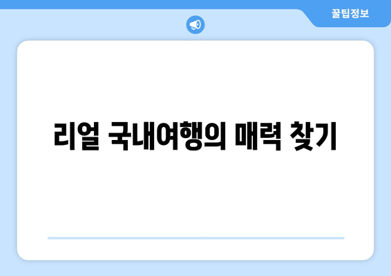 리얼 국내여행의 매력 찾기