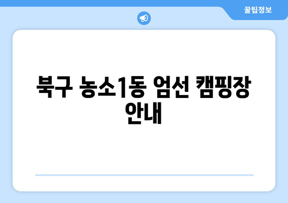 북구 농소1동 엄선 캠핑장 안내