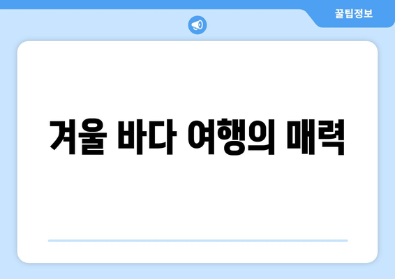 겨울 바다 여행의 매력