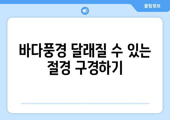 바다풍경 달래질 수 있는 절경 구경하기