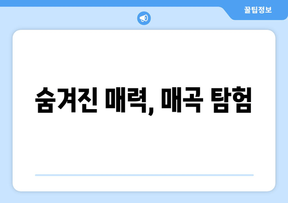 숨겨진 매력, 매곡 탐험