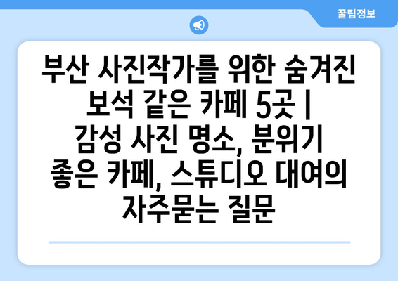 부산 사진작가를 위한 숨겨진 보석 같은 카페 5곳 | 감성 사진 명소, 분위기 좋은 카페, 스튜디오 대여