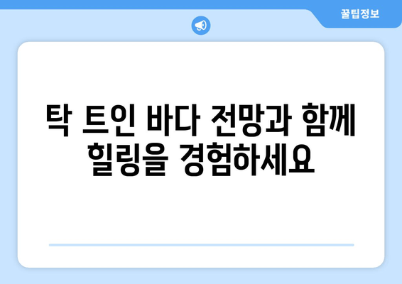 대부도의 천국, 더 헤이븐 펜션에서 꿈같은 휴식을! | 대부도 펜션, 럭셔리 숙소, 가족 여행