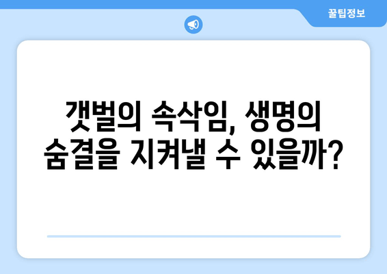 소래 습지생태공원| 개발과 보존, 빛과 그림자의 공존 | 생태, 환경, 개발, 갈등, 미래