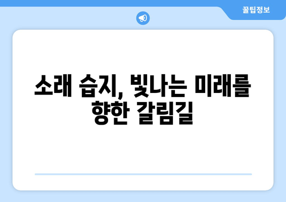 소래 습지생태공원| 개발과 보존, 빛과 그림자의 공존 | 생태, 환경, 개발, 갈등, 미래