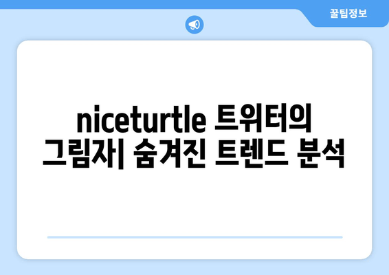 niceturtle 트위터의 그림자| 숨겨진 트렌드 분석 | 인플루언서 네트워크, 잠재적 영향력, 마케팅 전략