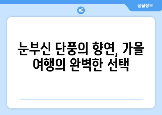 가을 단풍나무의 숨 막힐 듯한 아름다움| 한국의 단풍 명소 10곳 | 단풍 여행, 가을 여행, 국내 여행, 단풍 명소 추천