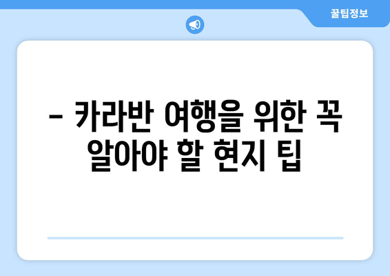 - 카라반 여행을 위한 꼭 알아야 할 현지 팁