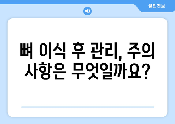 잇몸 뼈 상태 진단 후 임플란트 뼈 이식 가격| 상세 가이드 | 임플란트, 뼈 이식, 가격 정보, 치과