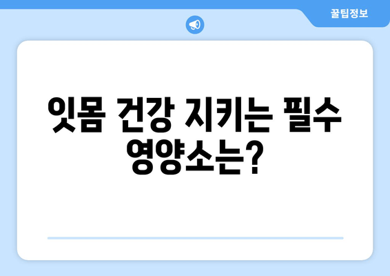 잇몸 내려앉는 거 방지하는 영양제, 정말 효과 있을까요? | 잇몸 건강, 영양제 추천, 잇몸 내려앉는 원인