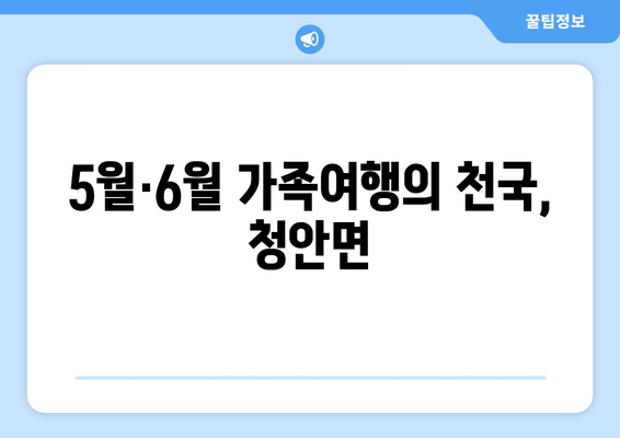 5월·6월 가족여행의 천국, 청안면