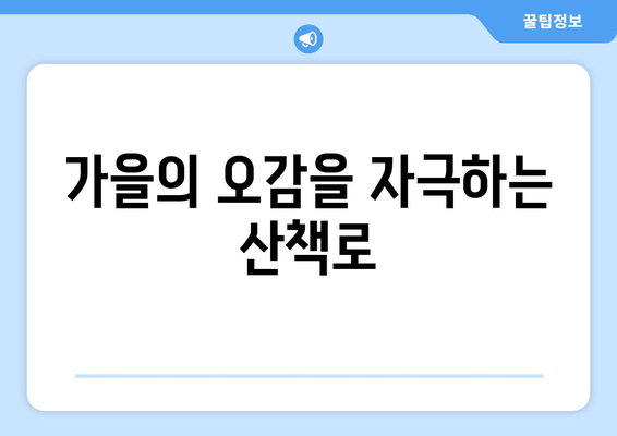 가을의 오감을 자극하는 산책로