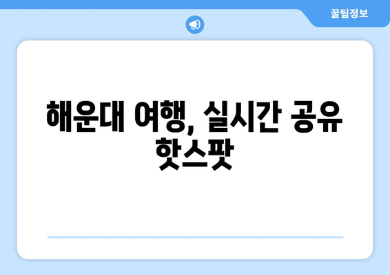 해운대 여행, 실시간 공유 핫스팟