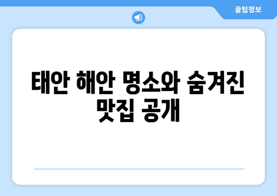 태안 해안 명소와 숨겨진 맛집 공개