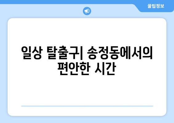 일상 탈출구| 송정동에서의 편안한 시간