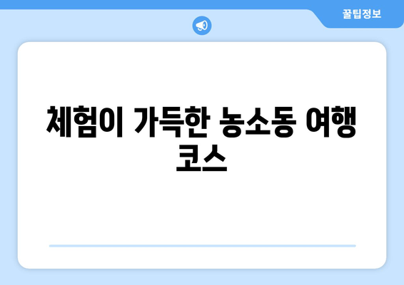 체험이 가득한 농소동 여행 코스