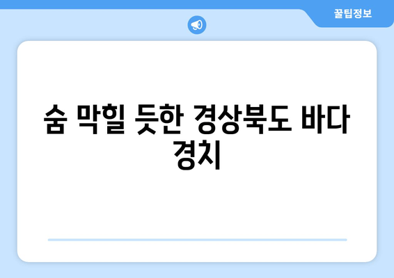 숨 막힐 듯한 경상북도 바다 경치