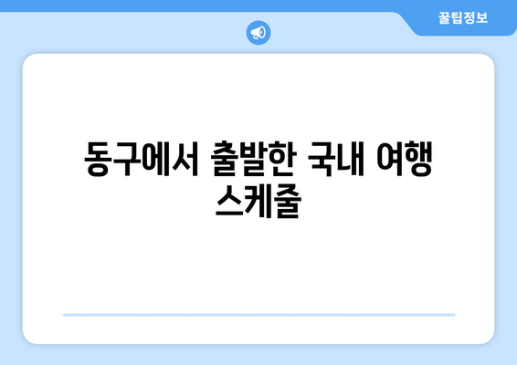 동구에서 출발한 국내 여행 스케줄