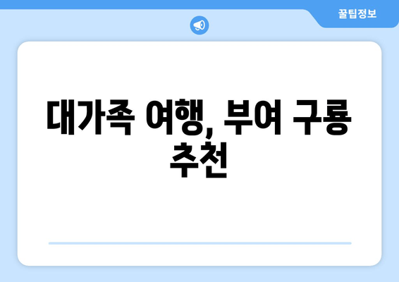 대가족 여행, 부여 구룡 추천