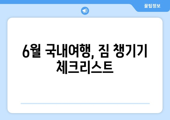 6월 국내여행, 짐 챙기기 체크리스트