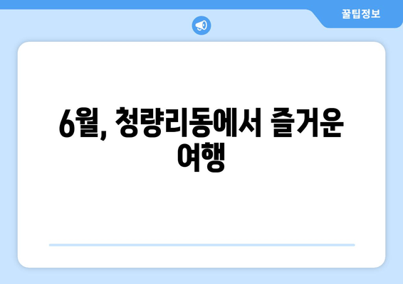 6월, 청량리동에서 즐거운 여행