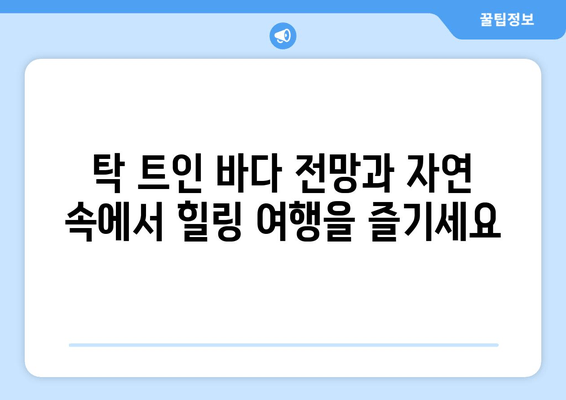 거제도 림바발리스펜션 스파| 몸과 마음을 재충전하는 휴식 | 거제도 펜션, 스파, 힐링, 여행, 추천